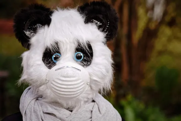 Rollers Casino Stuðningur